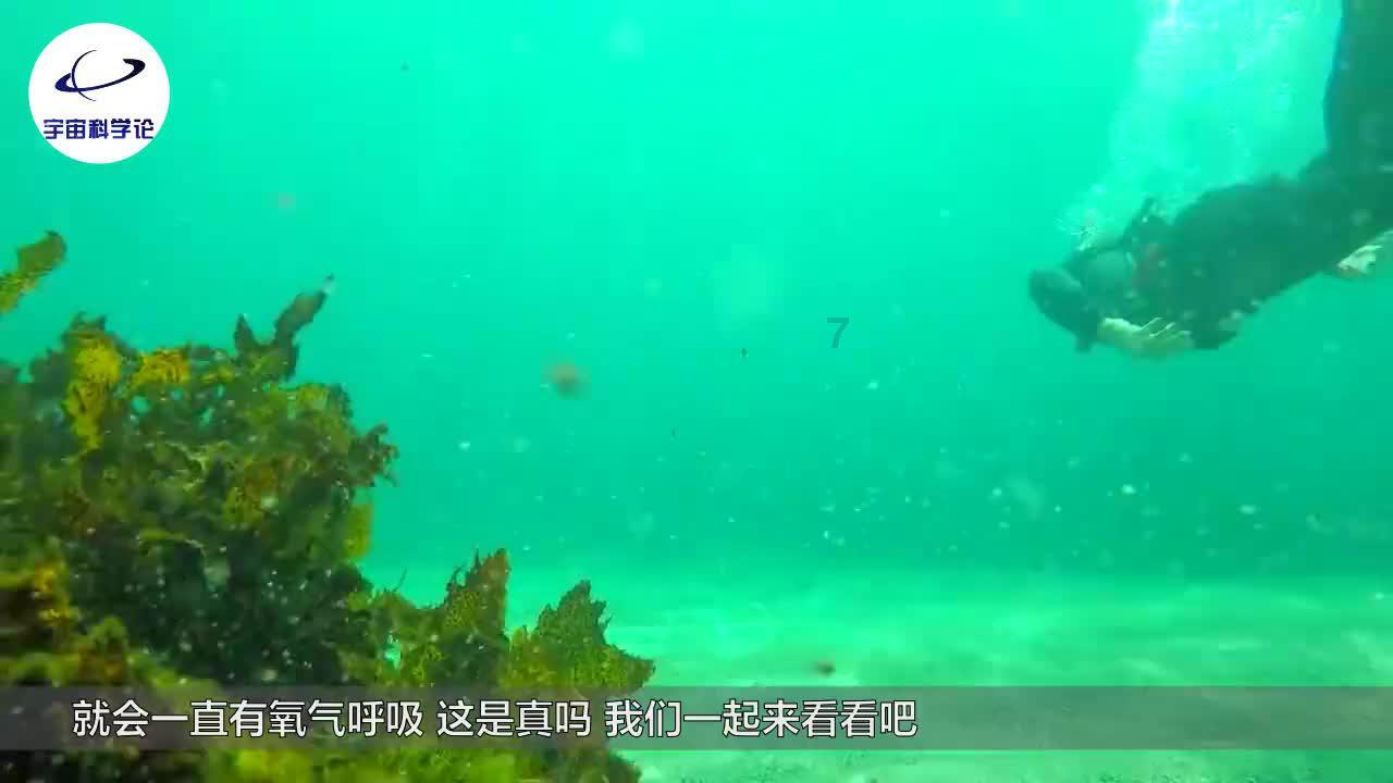 解疑网-为你答疑解惑
